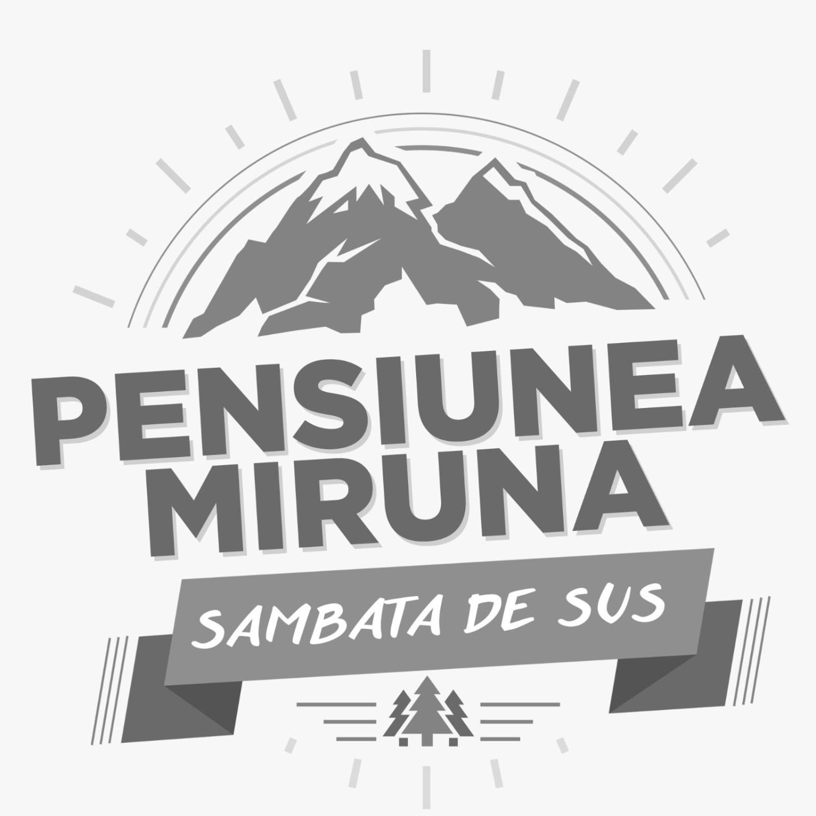 Hotel Miruna Simbata de Sus Ngoại thất bức ảnh